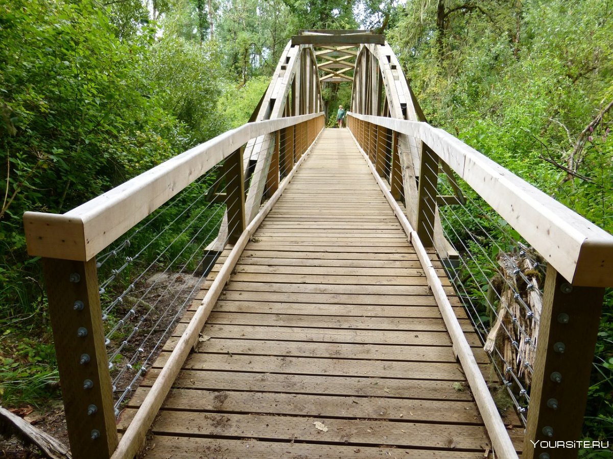 Мангровый лес подвесной мост