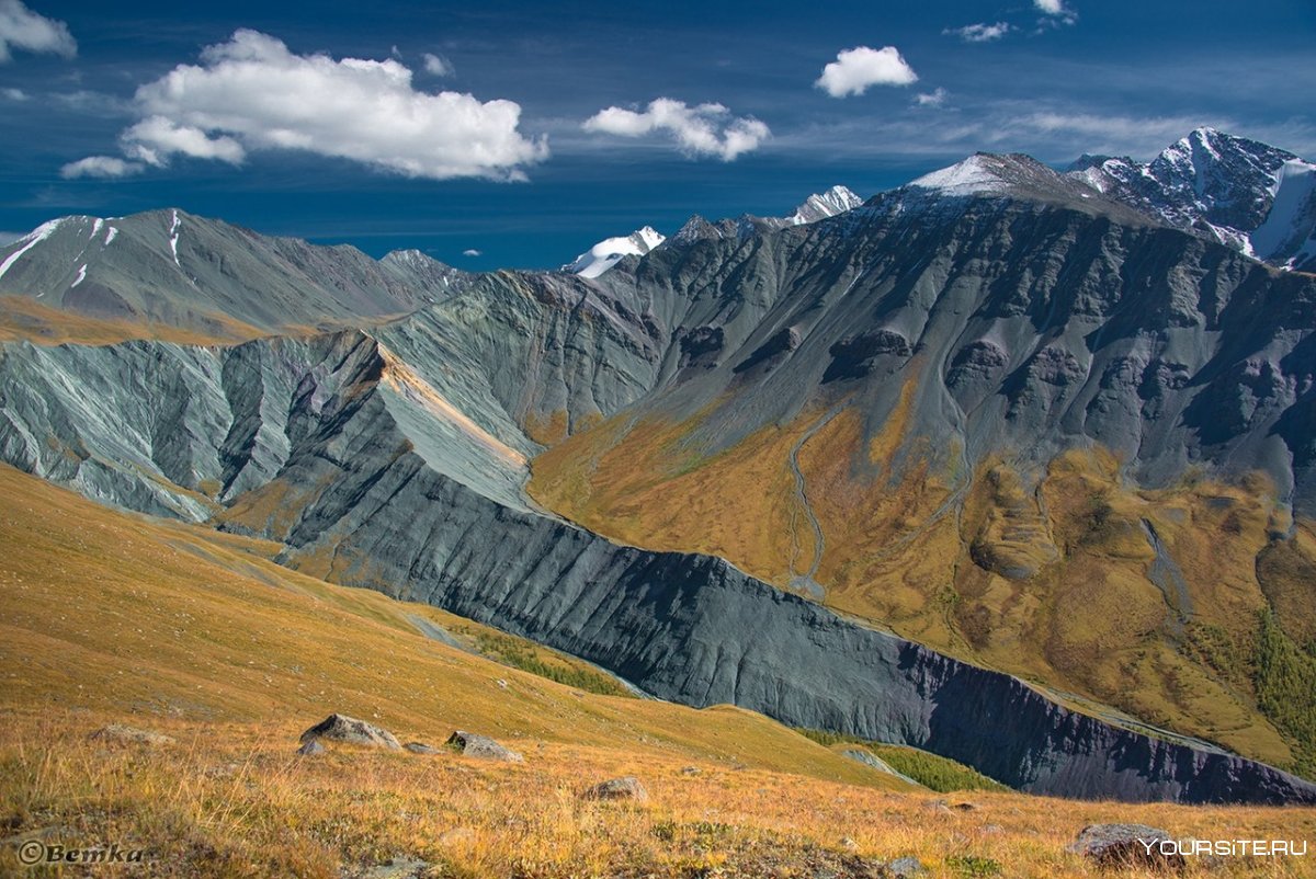 Алтайский край золотые горы