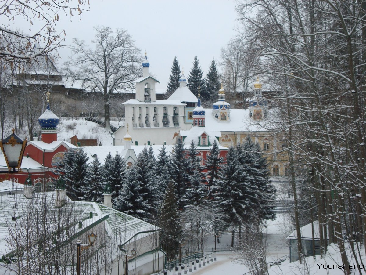 Михайловское музей-заповедник зимой