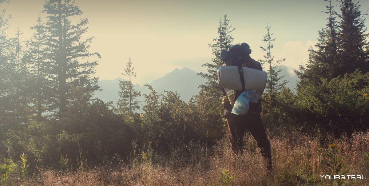 Лес, горы, человек с рюкзаком
