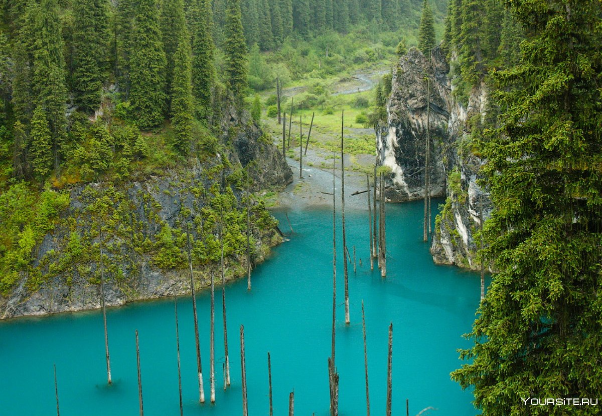 Подводный лес Казахстан озеро Каинды Казахстан