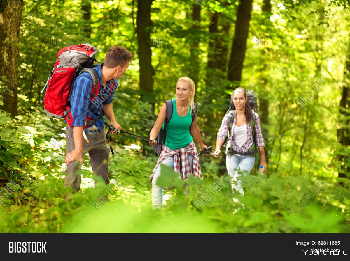 Прогулка по лесу с друзьями