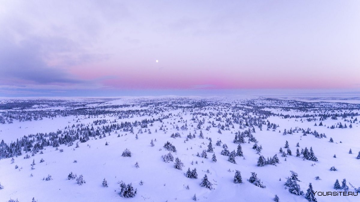 Солнце в тундре