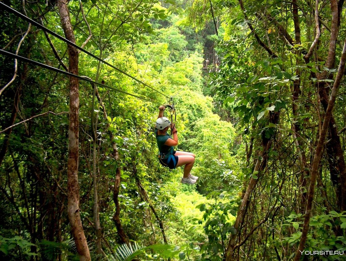 Приключенческий туризм джунгли