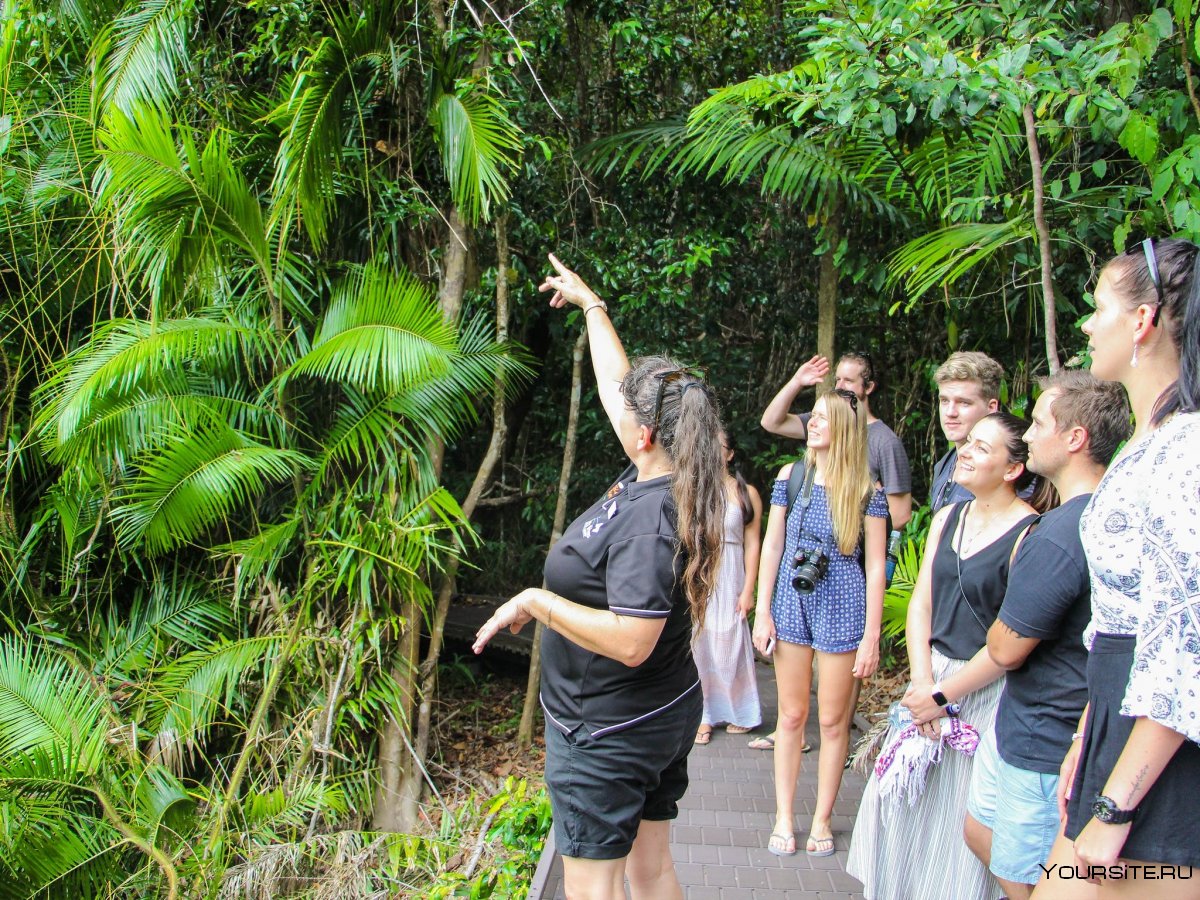 Tour Guide Rainforest