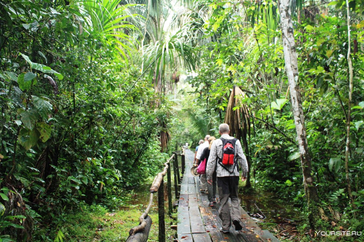 Туристические места в эквадорской Амазонии.