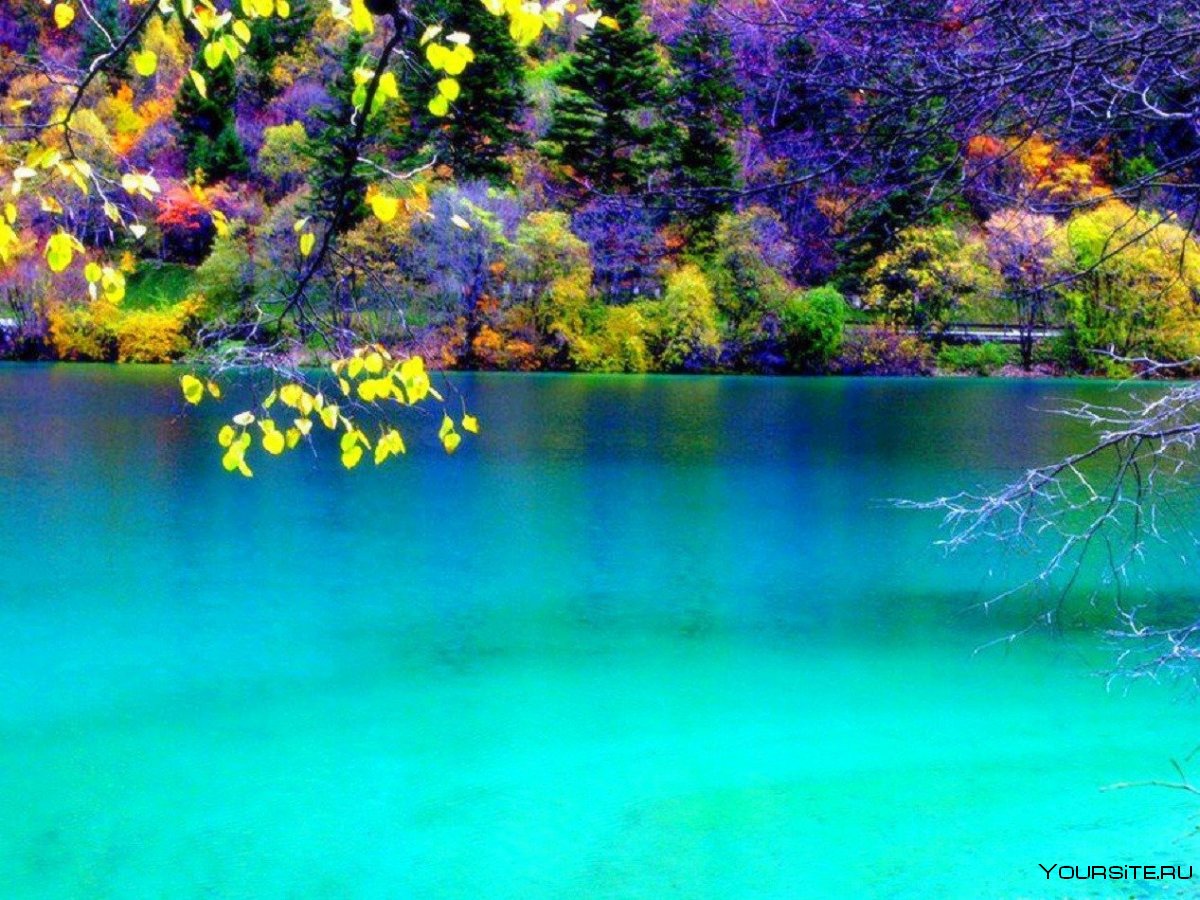Озеро пяти цветков в Цзючжайгоу