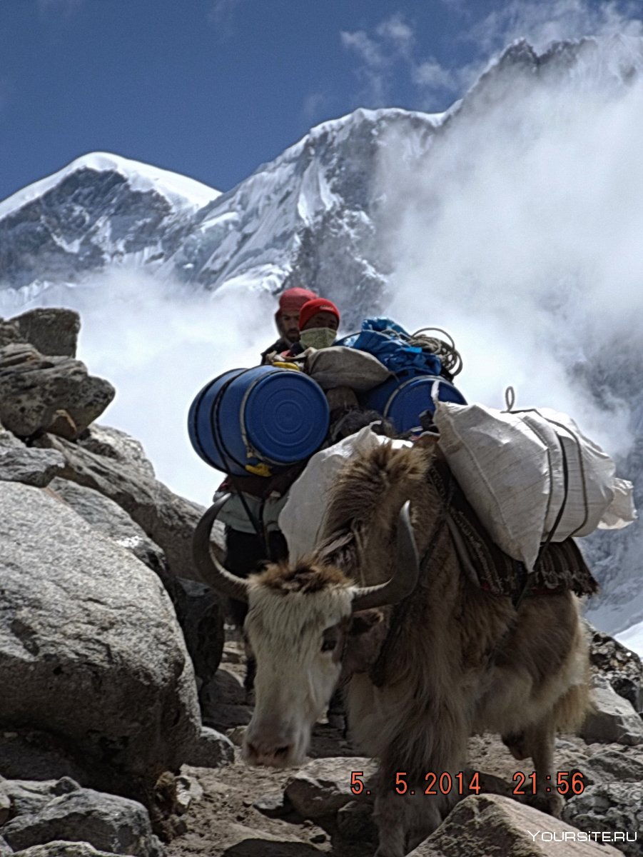 Горный туризм Гималайский стиль лагерь в горах