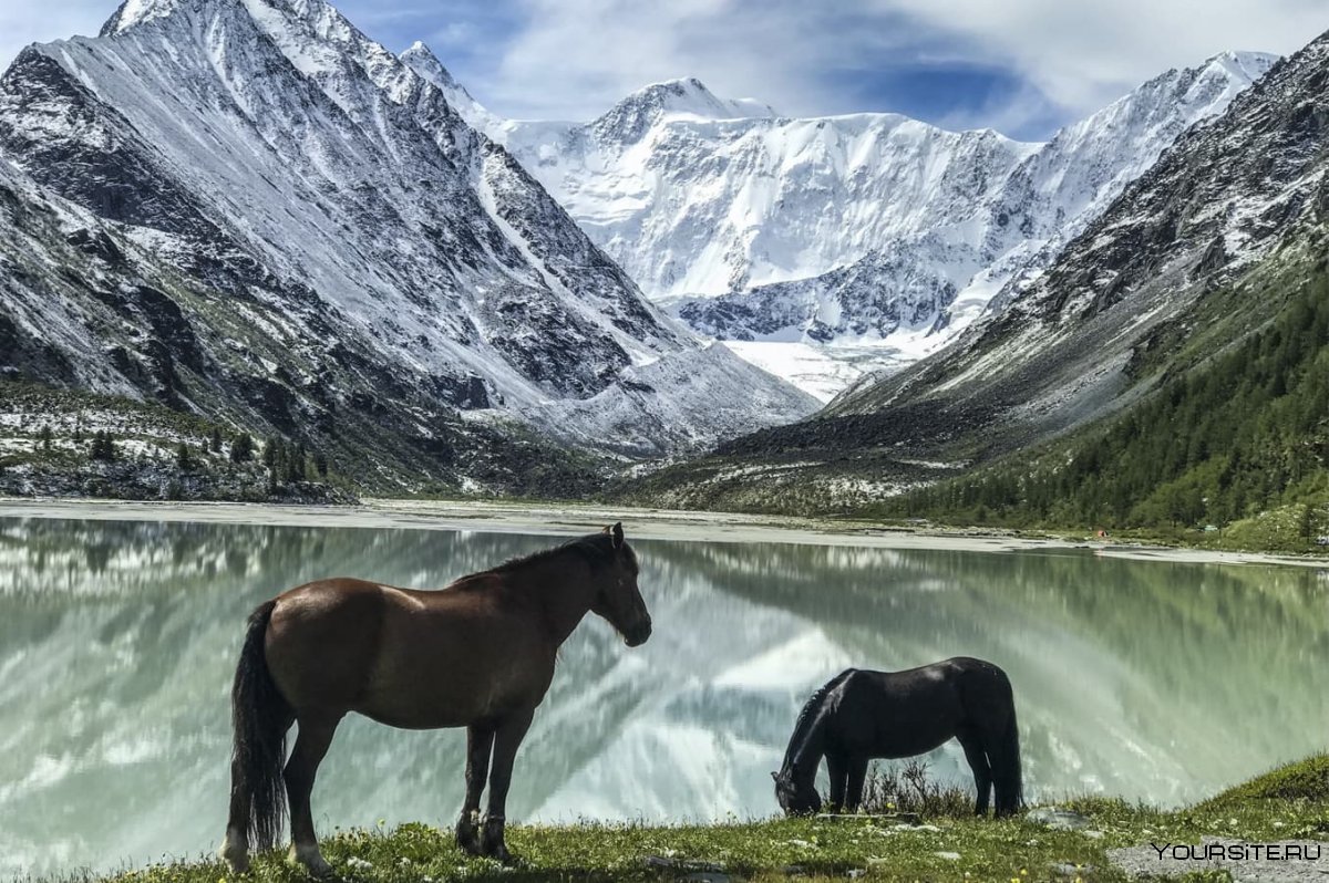 Белуха гора Чемал