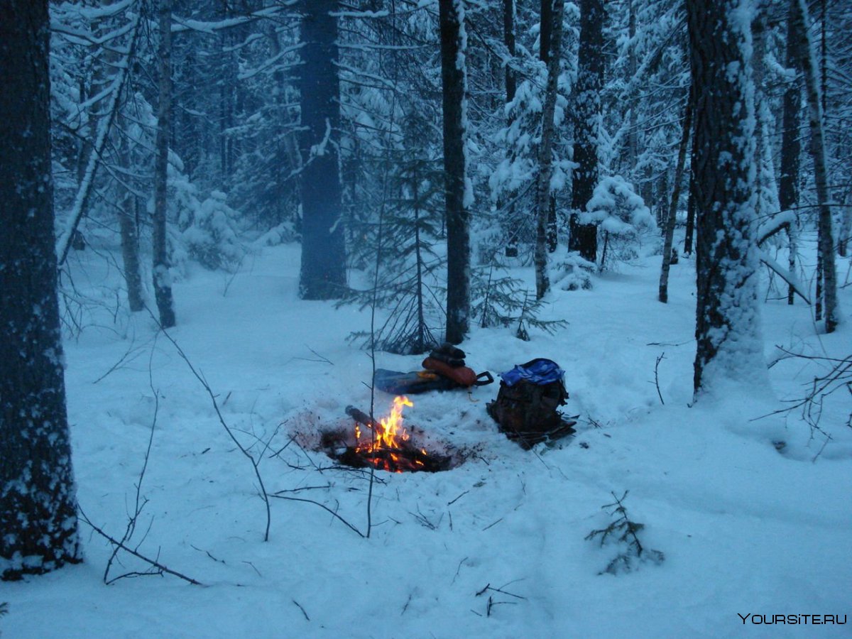 Ночевка в зимнем лесу