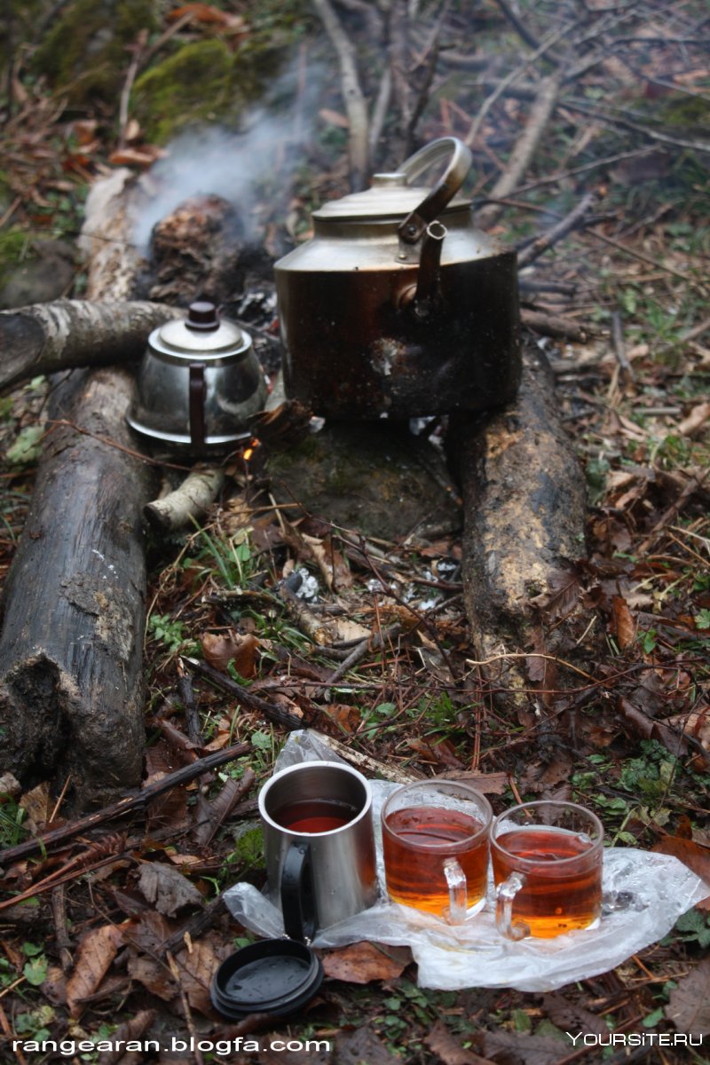 Чаепитие в лесу