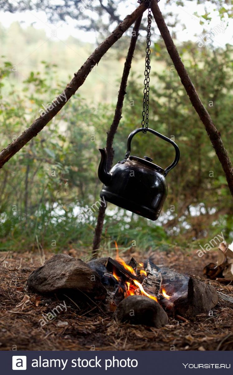 Чайник на костре в лесу