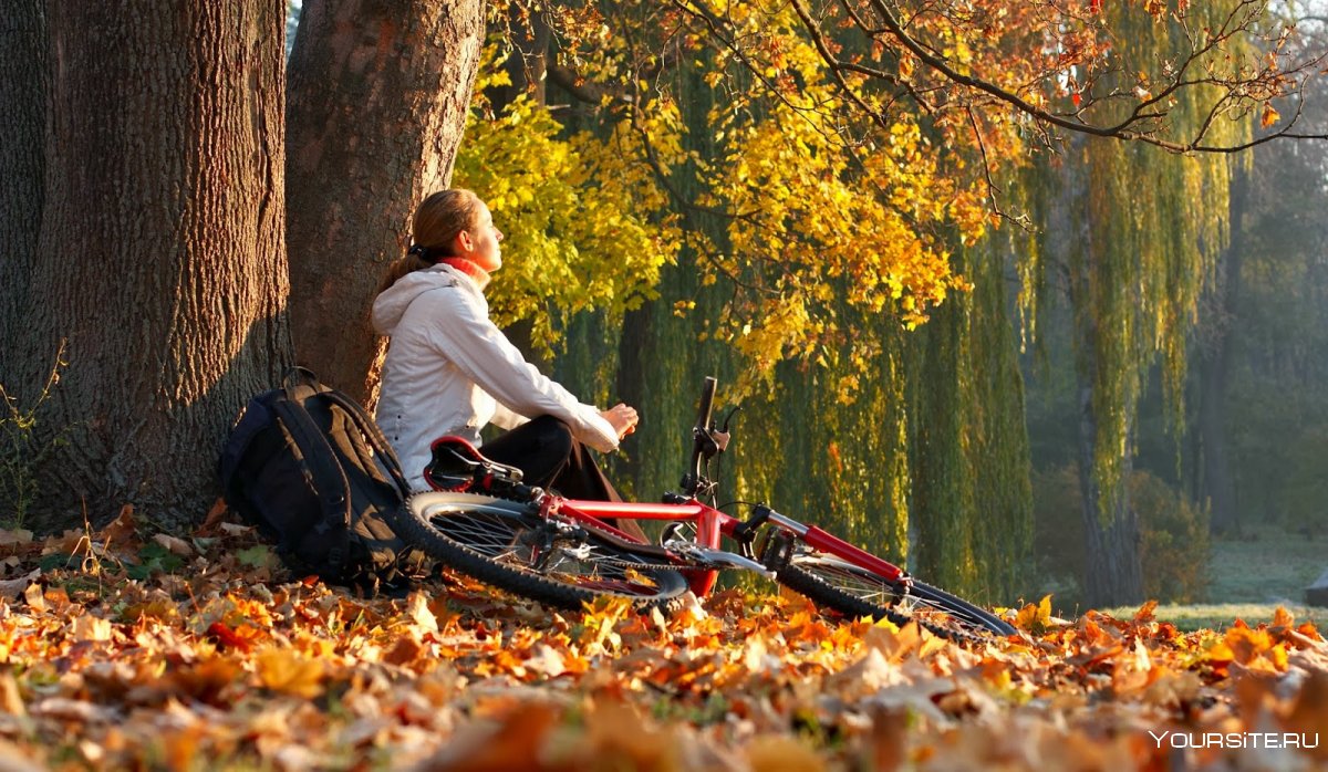 Мужчина на велосипеде осень