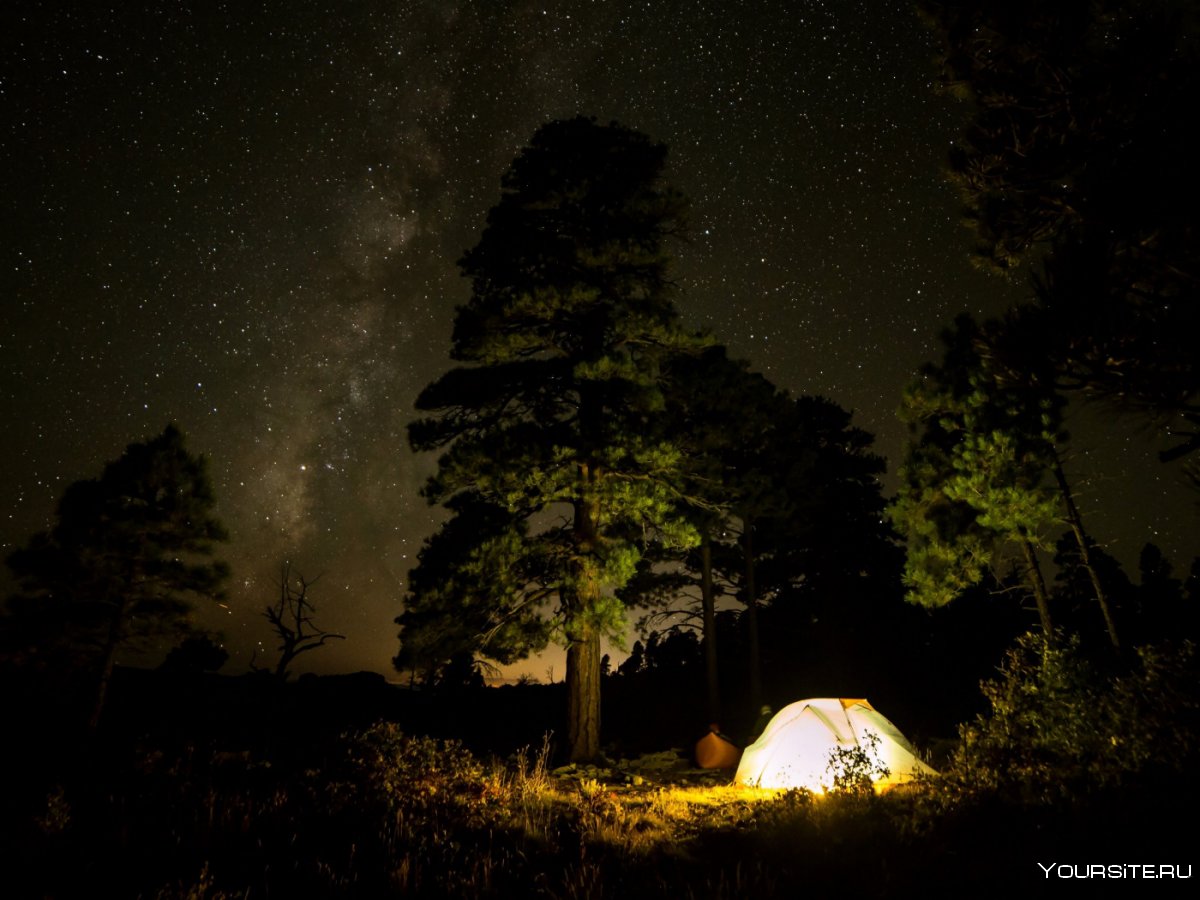 Палатка в ночном лесу