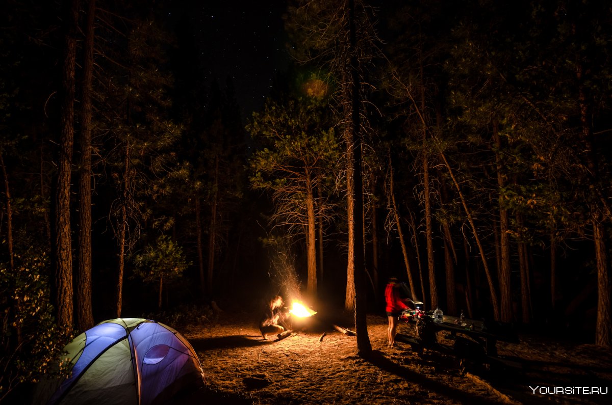 Лагерь в лесу ночью
