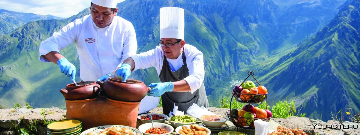 Гастрономический туризм экологический вид