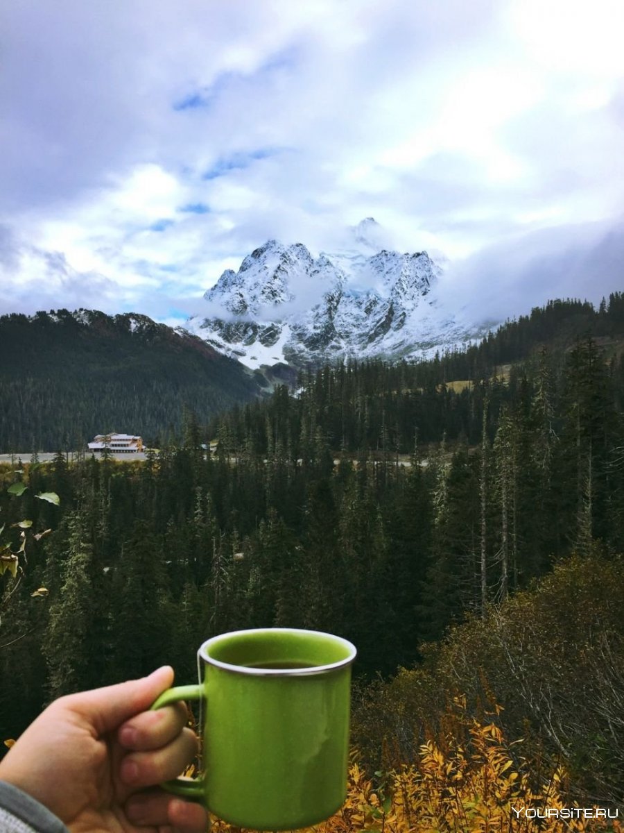Чай с видом на горы