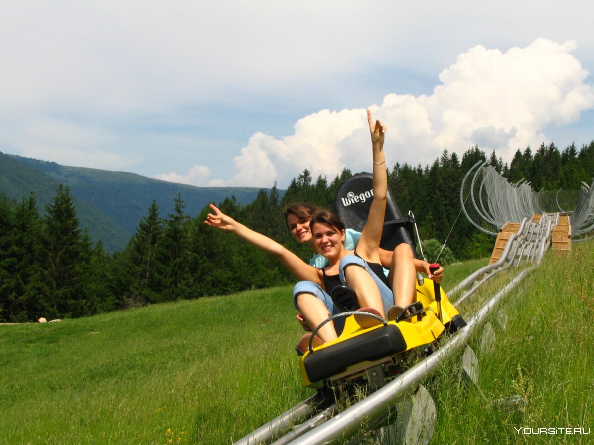 Alpine Coaster