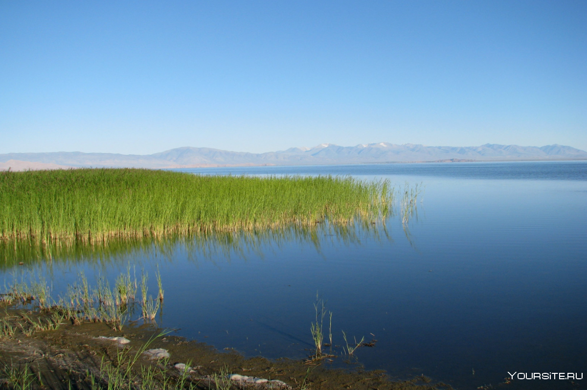 Озеро УВС нуур в Монголии