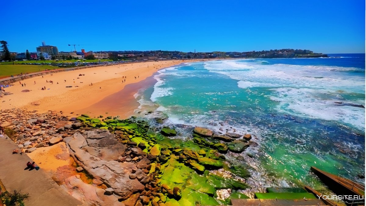 Пляж Бонди Австралия