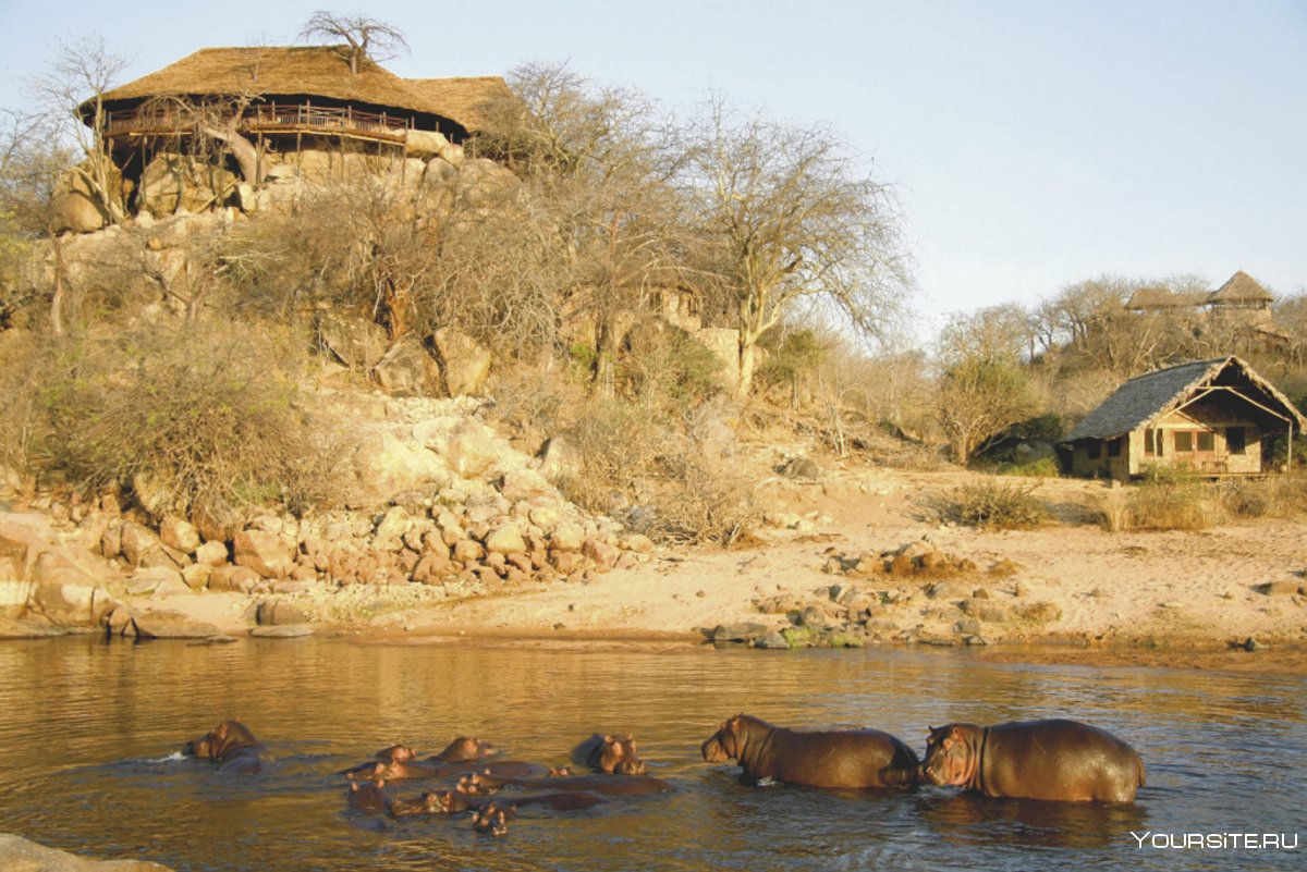 Танзания Занзибар сафари