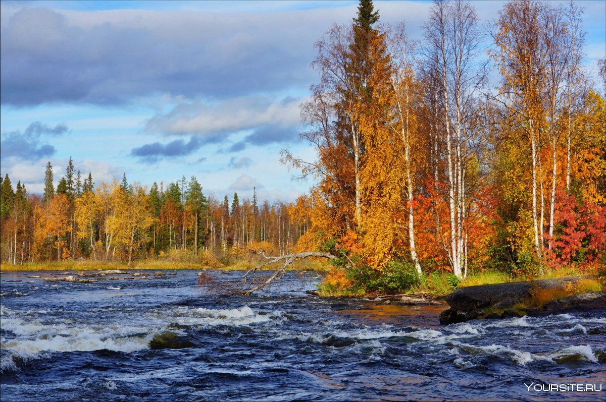 Осенняя река Карелия