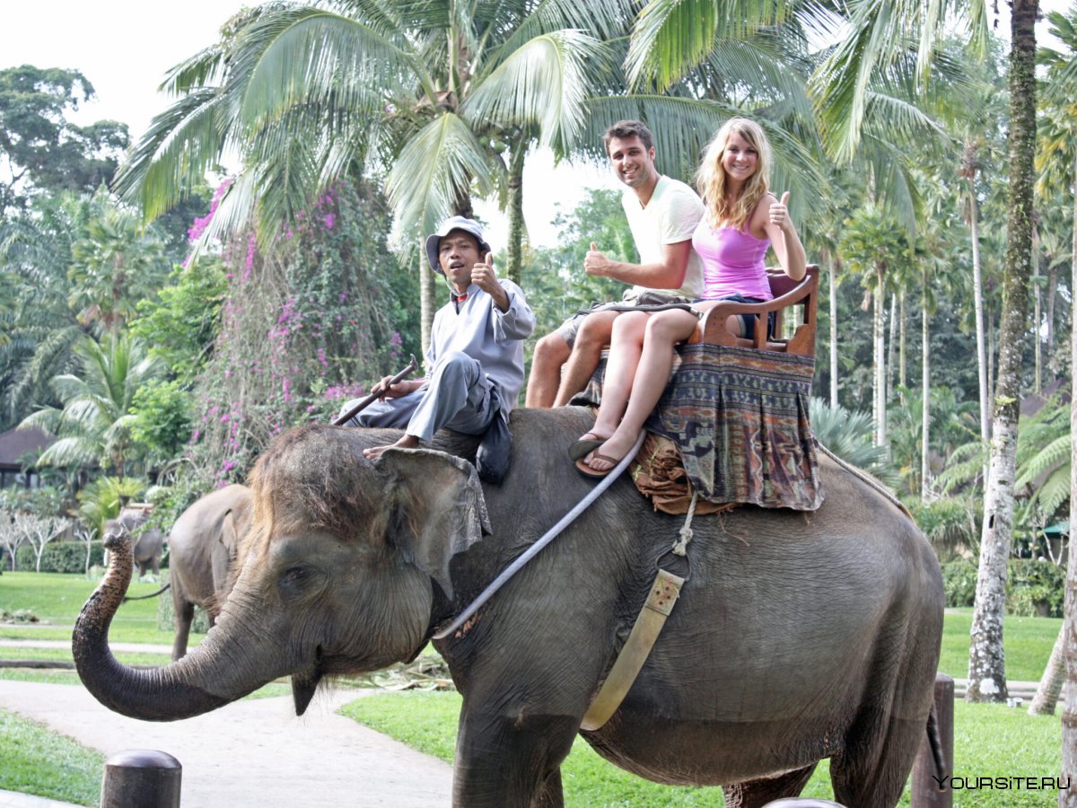 Парк слонов на Бали
