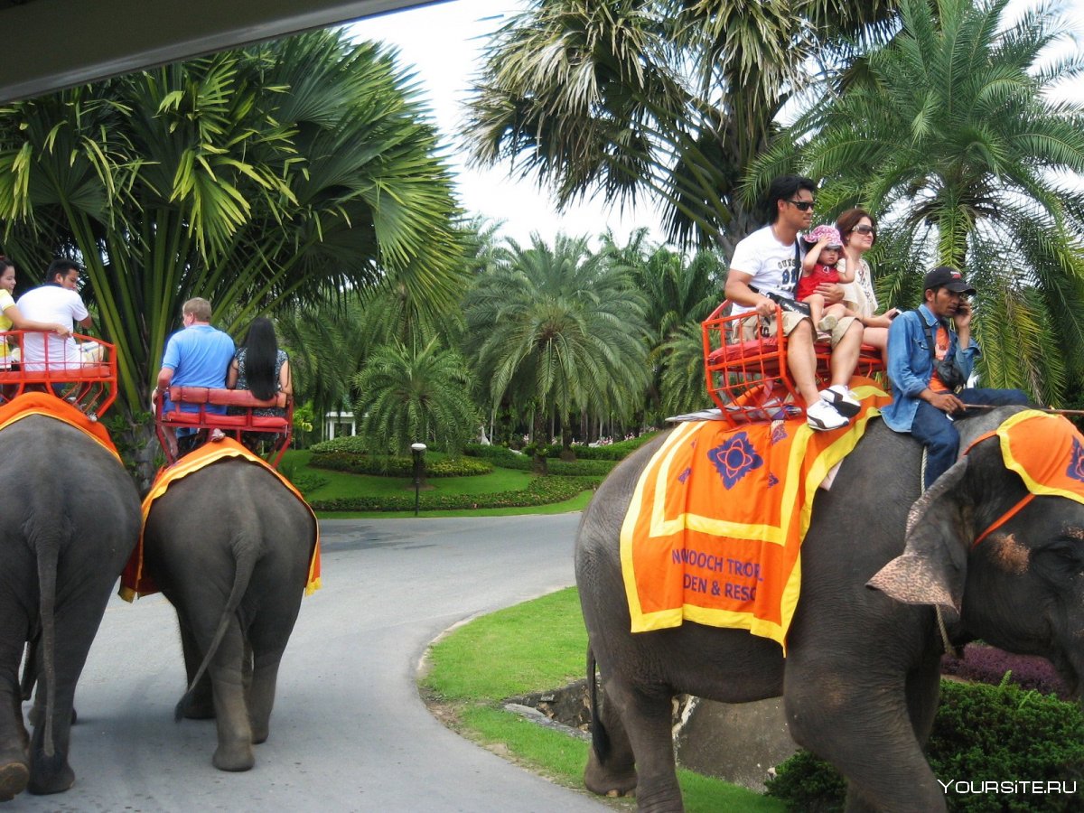 Таиланд прогулка на слонах