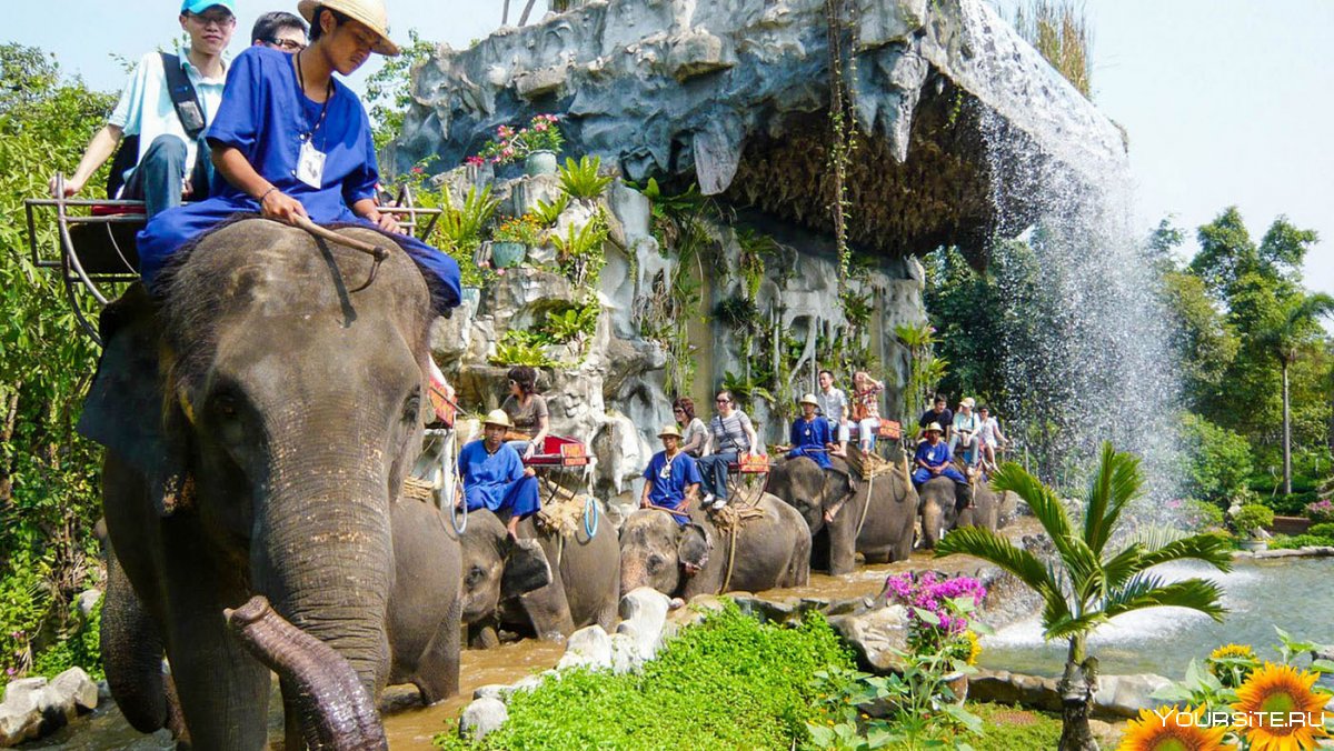 Заповедник слонов в Тайланде