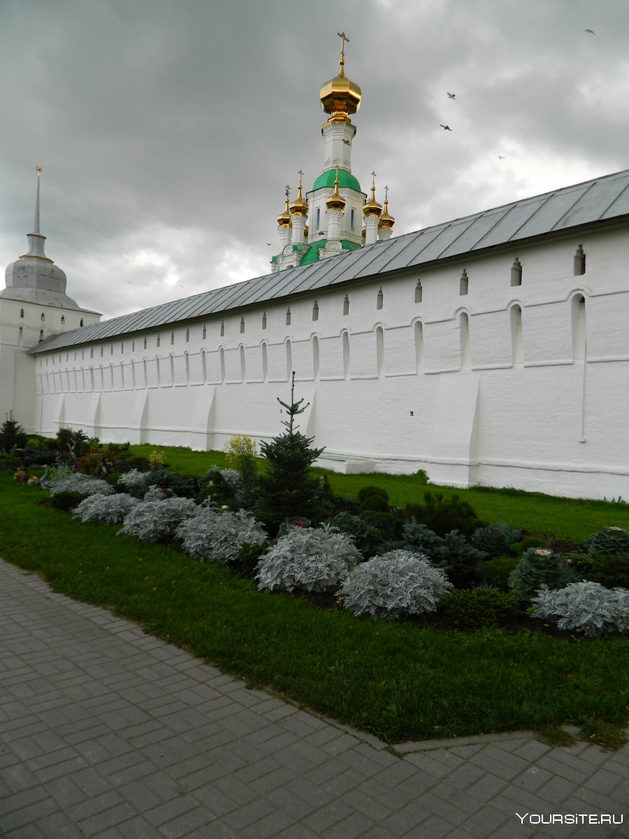 Зима Свято-Введенский Толгский женский монастырь в Ярославле