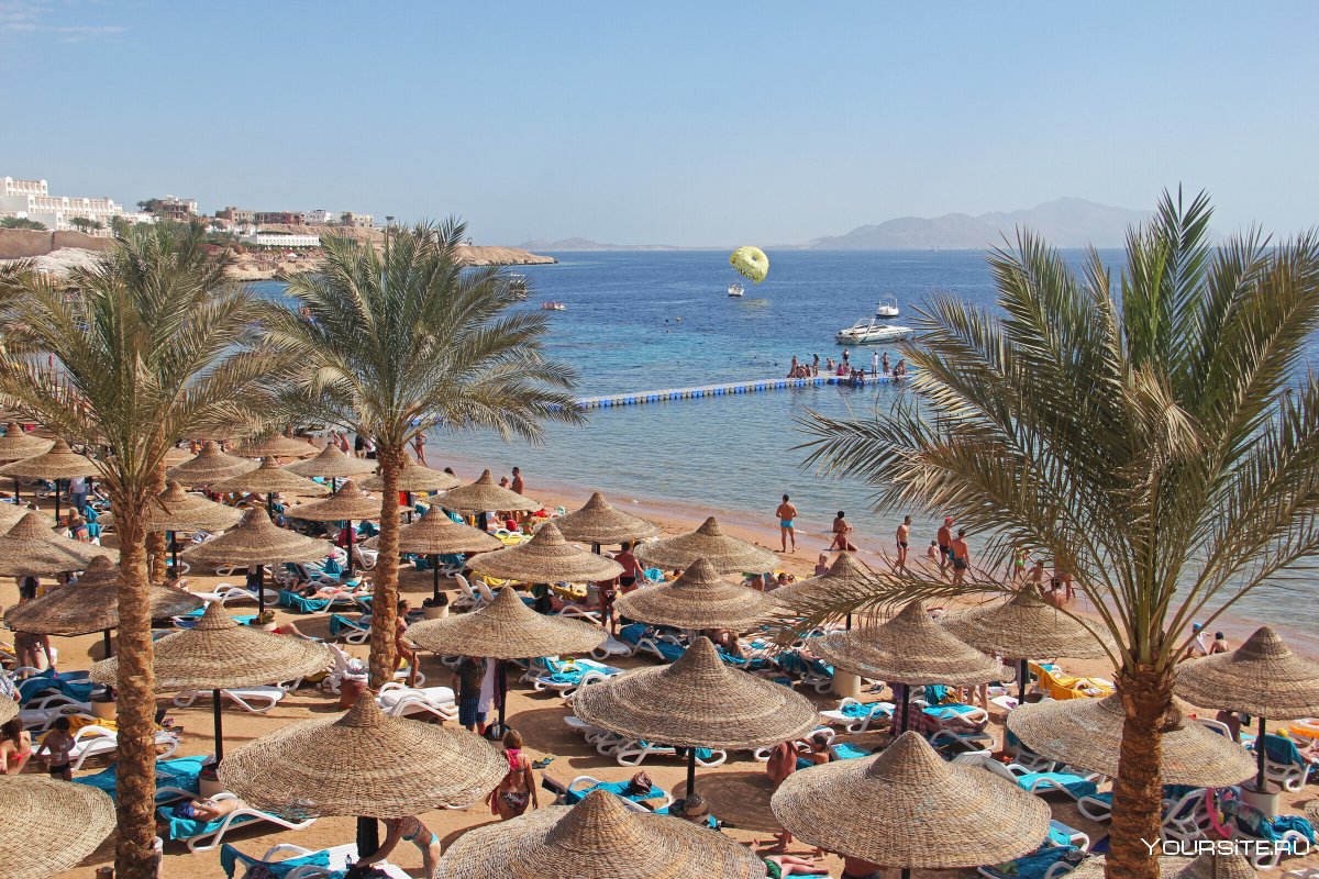 Египет шармаль Шейх море