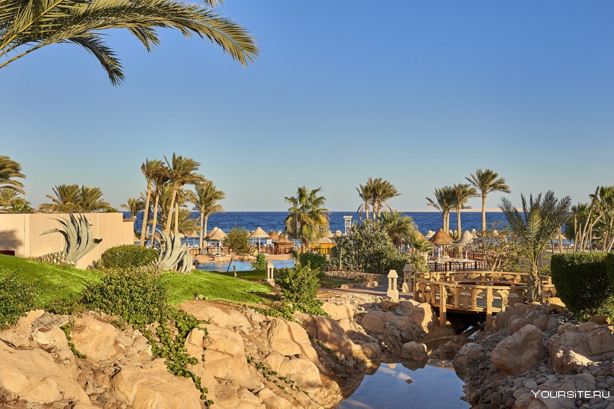 Club el Faraana Reef 4*
