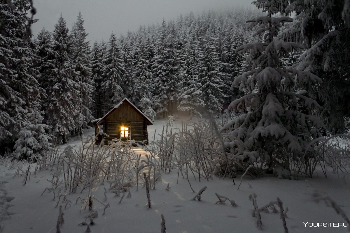Заснеженный домик в лесу