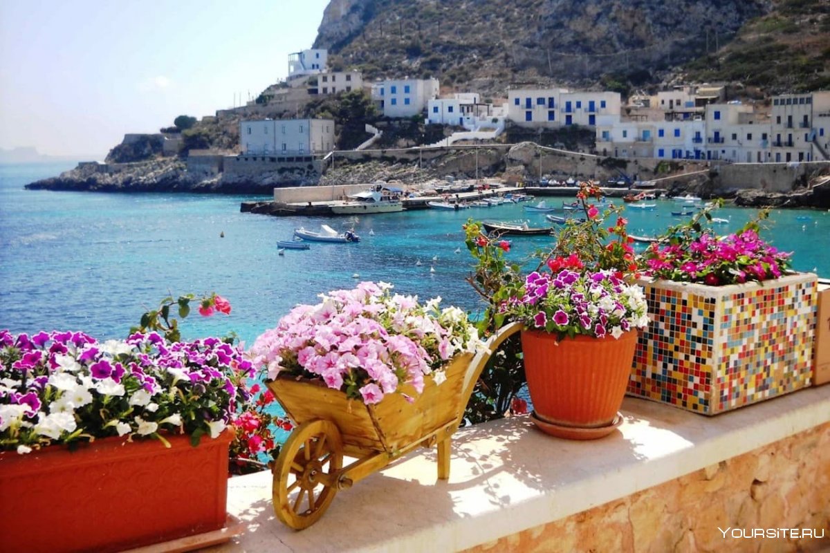 Греция Крит цветы море