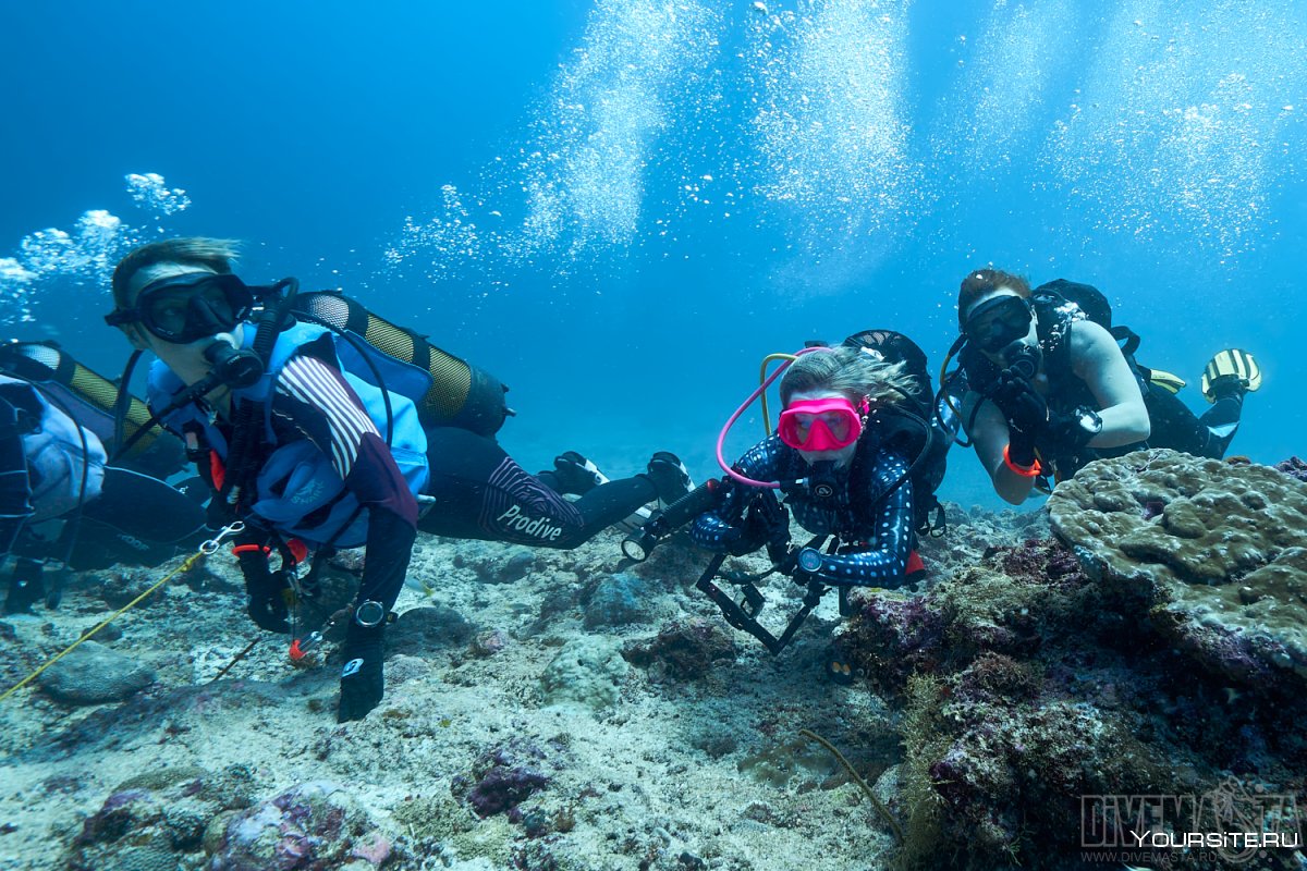 Подводная охота на Мальдивах