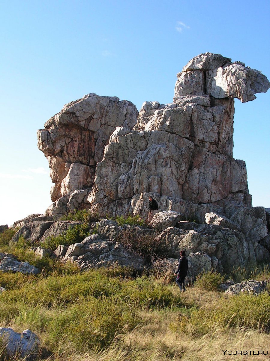 Гора верблюд Самарская лука