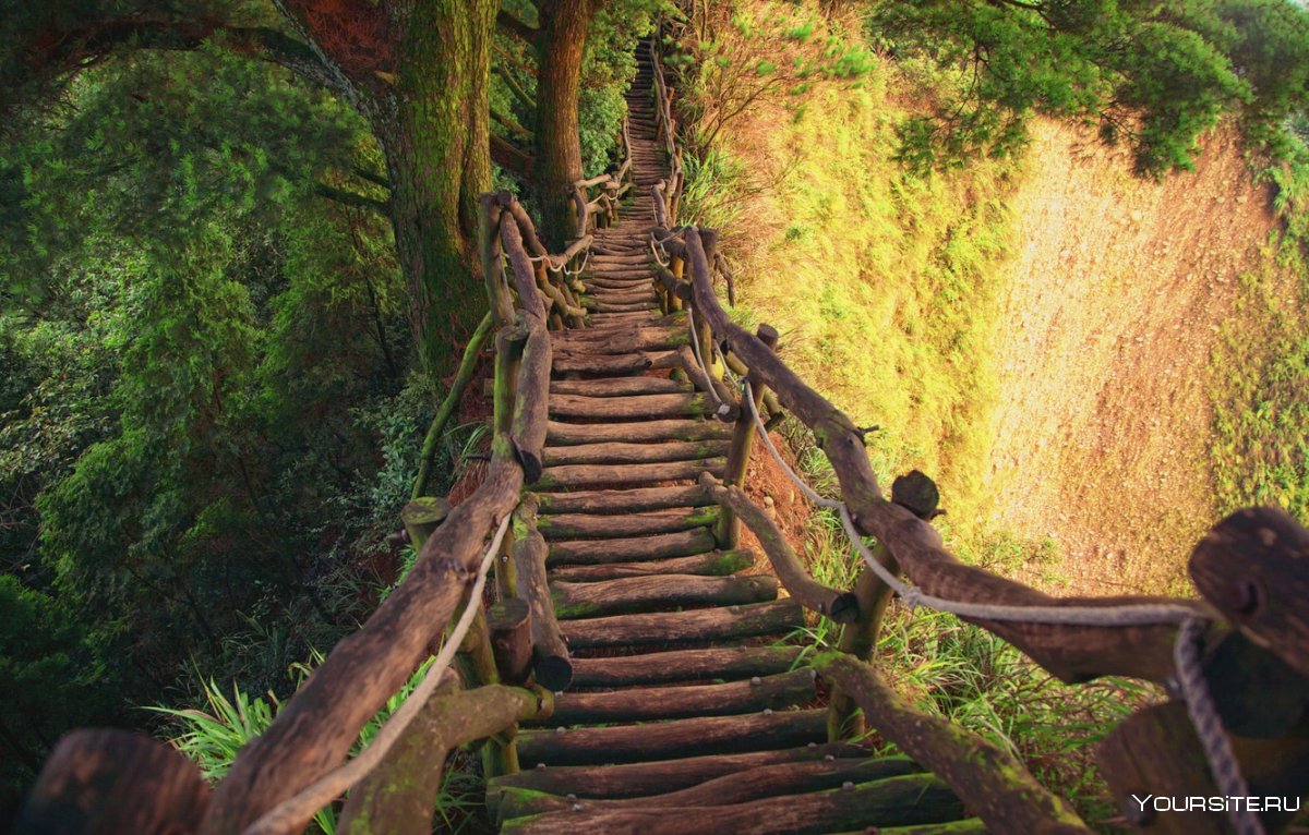 Лестница природа
