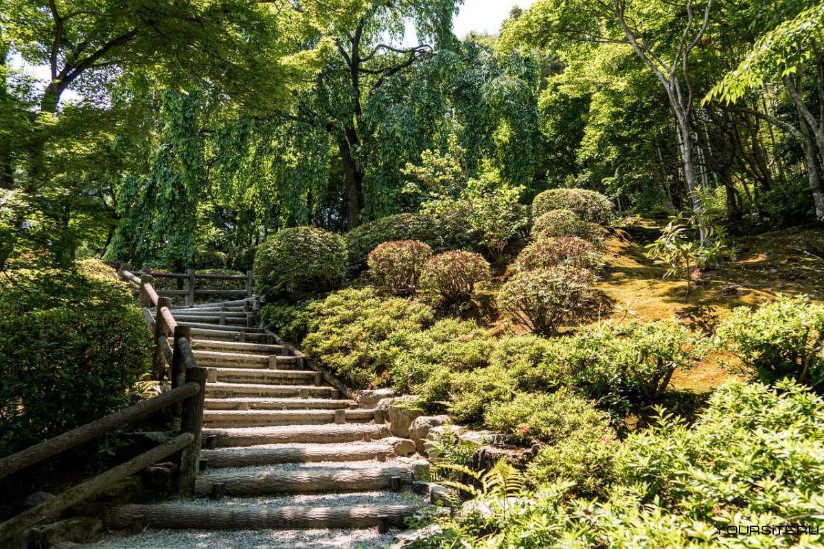 Каменные лестницы парк лес