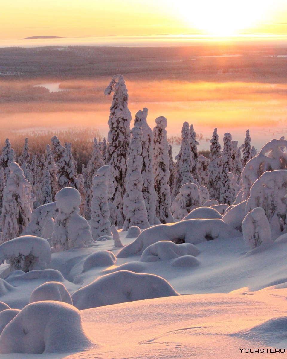 Лапландия Финляндия природа