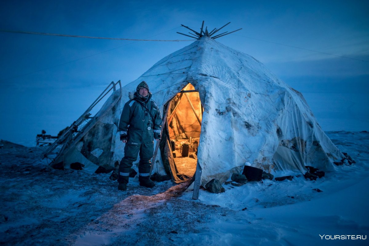 Яранга жилище эскимосов