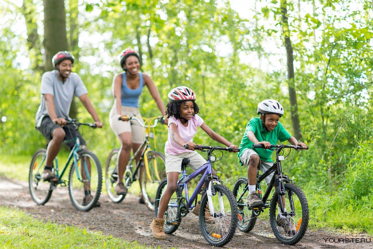Семья катается на велосипедах