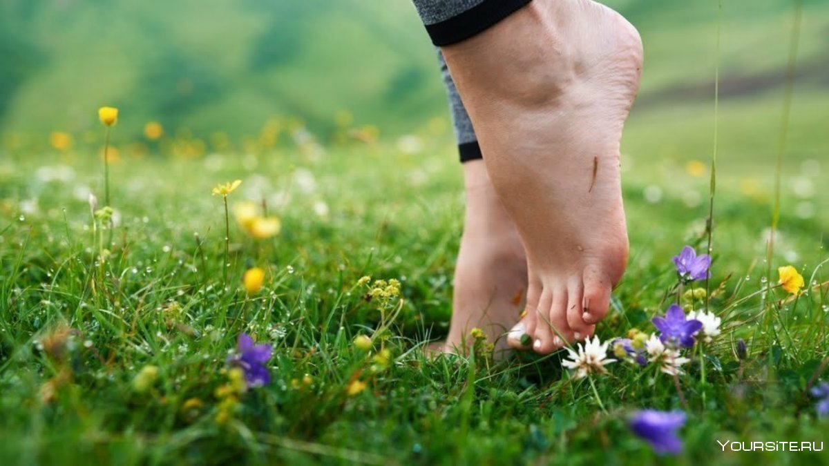 Ноги по траве