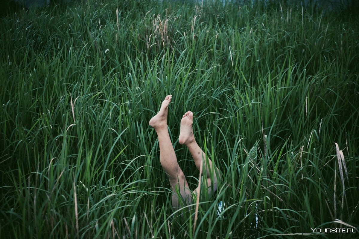 Женские ноги на зеленой траве
