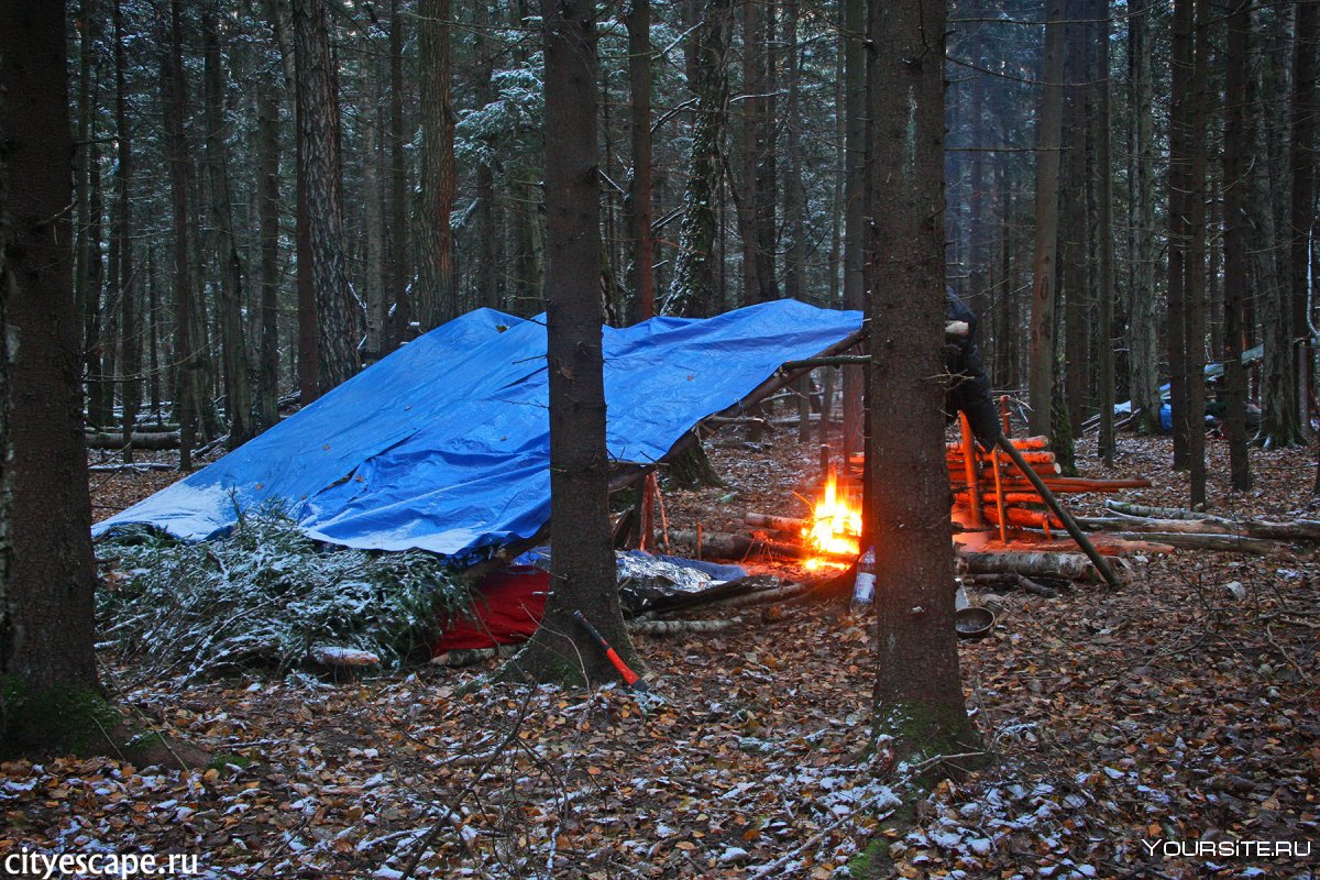 Люди на природе с палатками