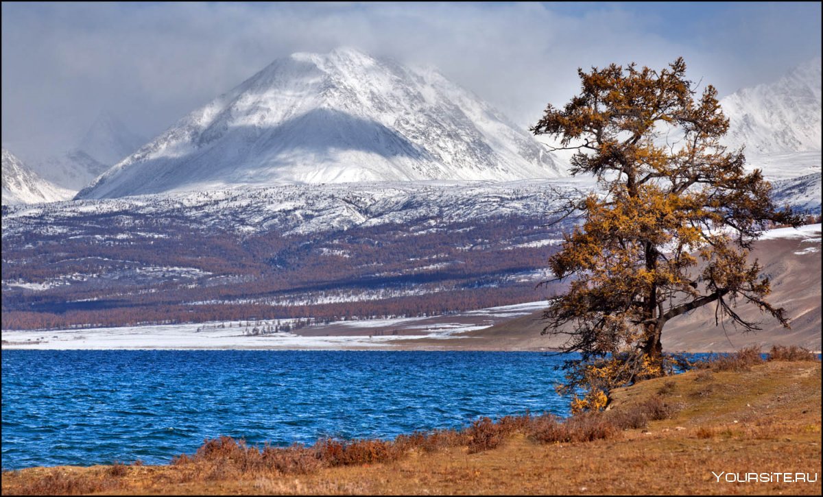 Озеро хубсугул монголия