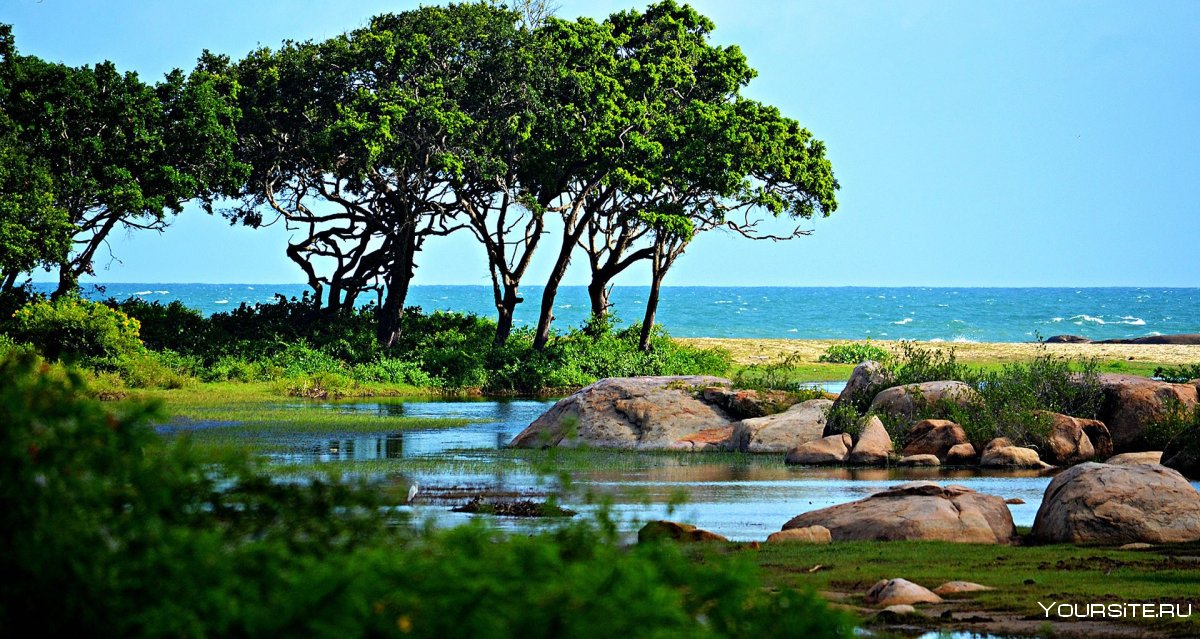Парк Яла Шри Ланка