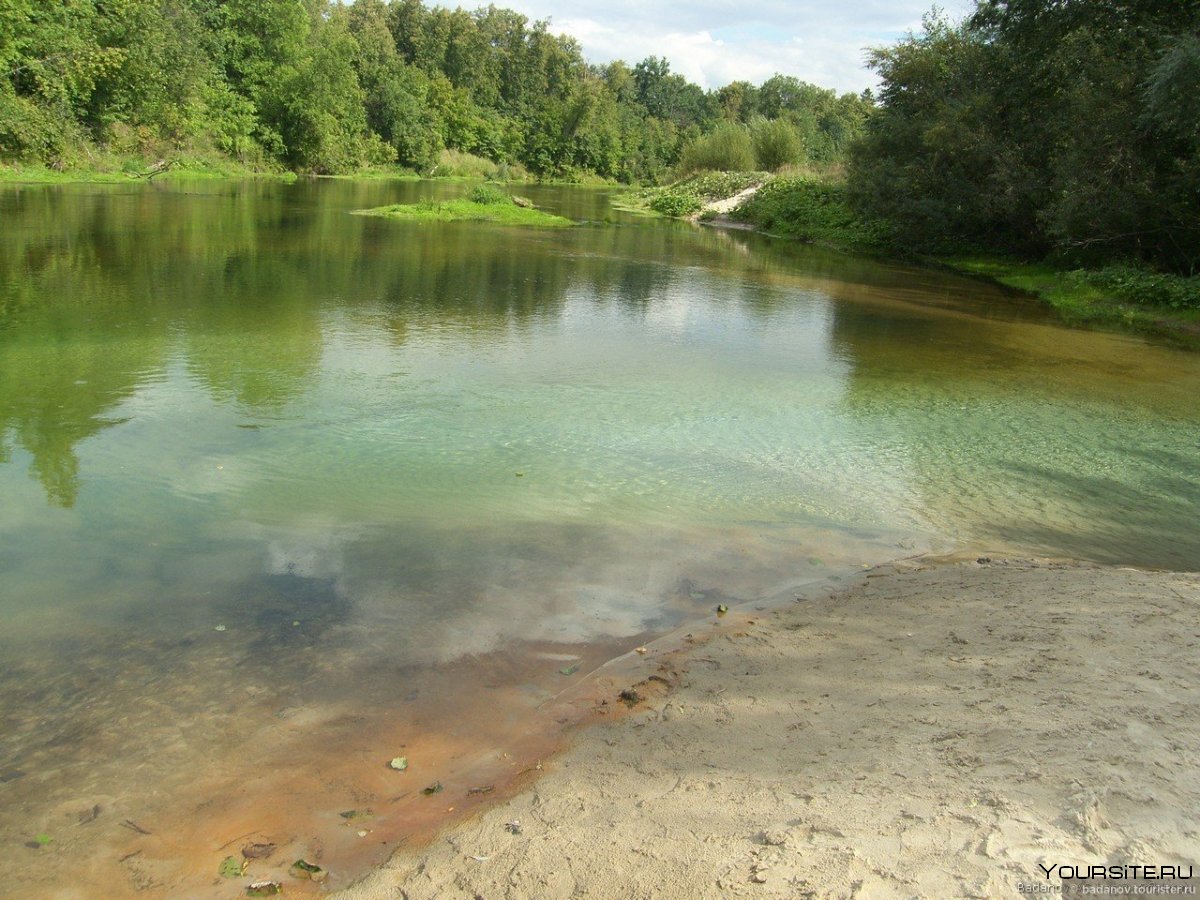 Река Вонча