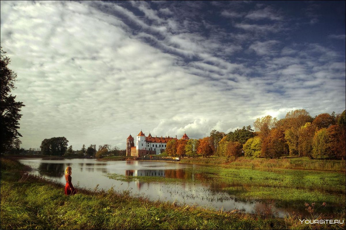 Белорусские пейзажи с зубрами очень красивые