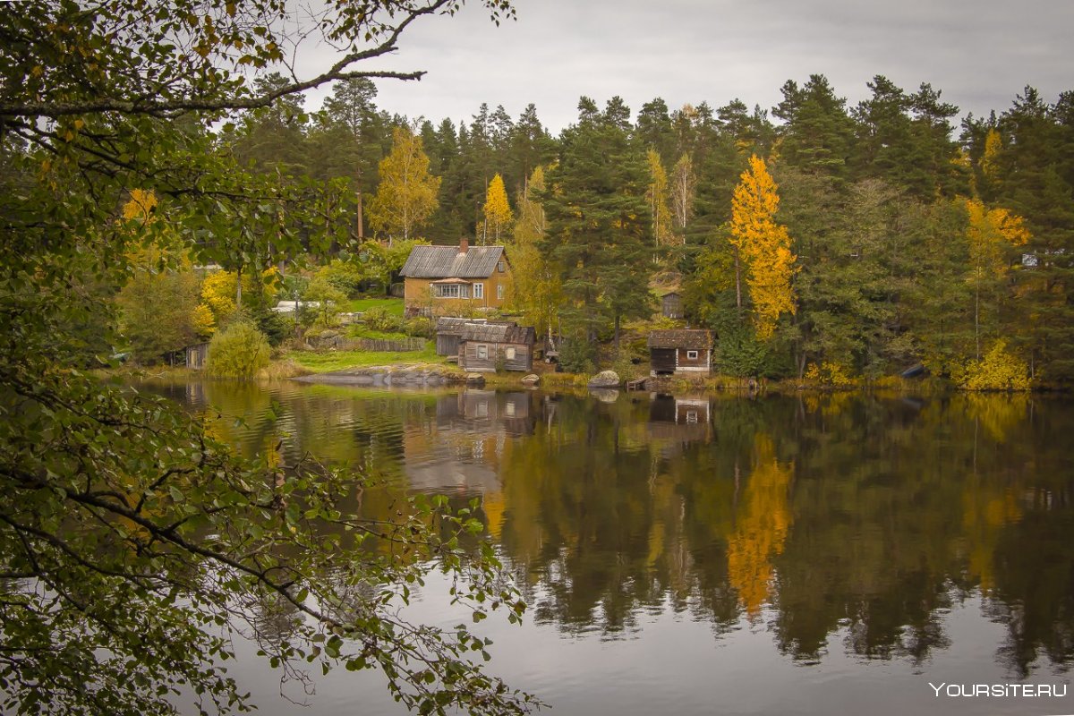 Б/О Илоранта Выборгский район