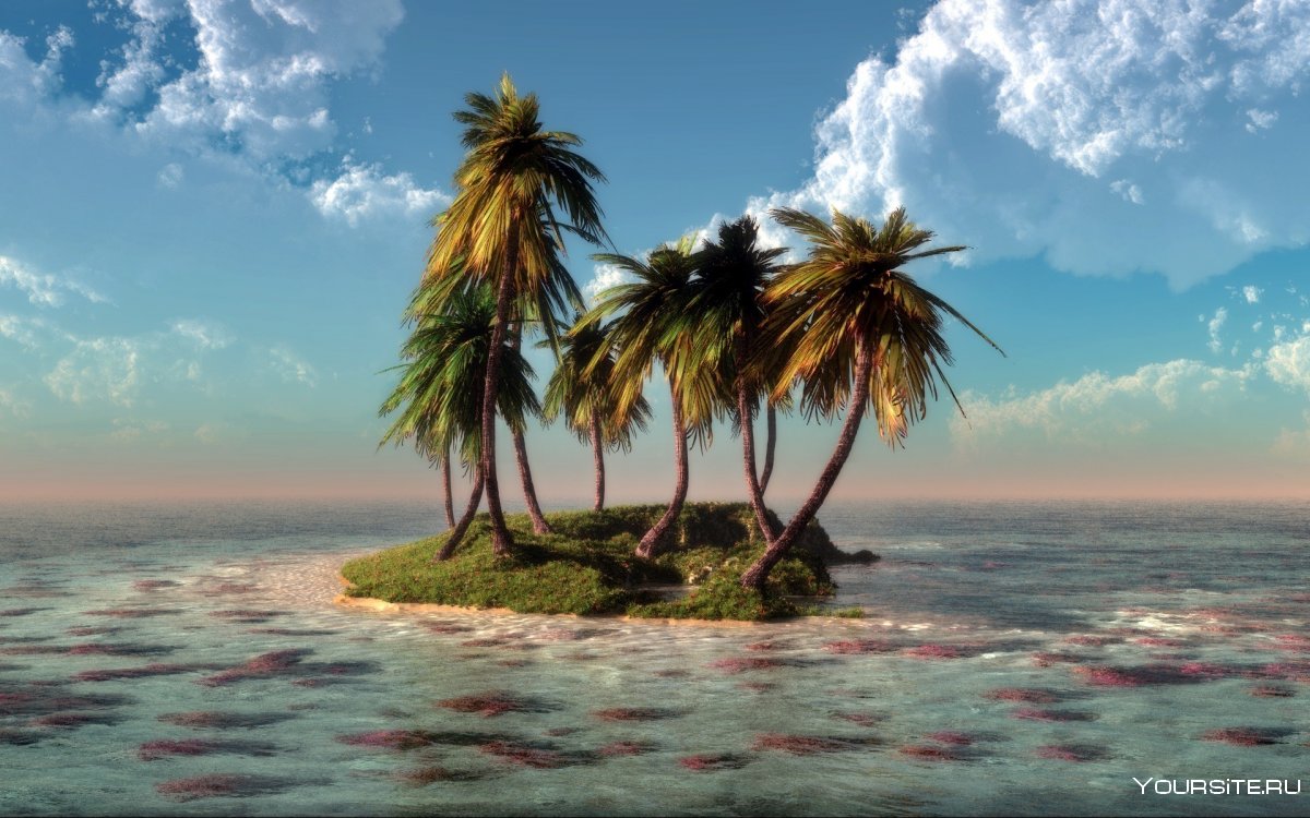 Морской пейзаж с пальмами